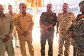 مليشيا الدعم السريع تنهب أكثر (5) الاف محلا تجاريا و (16) فرعا للبنوك بالسوق الم