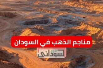 الوجه الآخر لشركة الجنيد وتفاصيل مثيرة حول مناجم الذهب في السودان