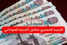 بدون عنوان