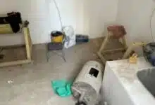 بدون عنوان