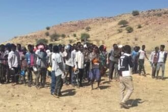 الجيش يفاجئ المهربين.. القوات المسلحة تحبط أخطر عملية اتجار بالبشر