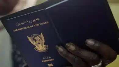 رفع رسوم استخراج جواز السفر.. ما الحقيقة؟