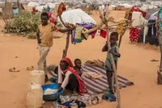 عندما يصبح الخبز حلمًا.. نازحو زمزم يروون جحيم الرحلة بين الجوع والرصاص