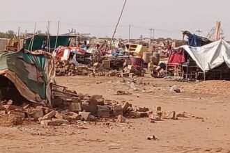 جهاز حماية الاراضي بالخرطوم: نفذنا 60% من خطة إزالة السكن العشوائي

الخرطوم 4-6-
