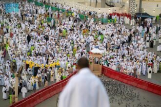 موسم حج 1446هـ.. تضافر التقنية والإنسان لخدمة ضيوف الرحمن

مكة المكرمة 6-6-2025