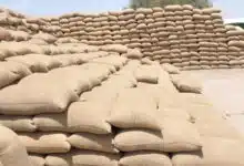 بدون عنوان