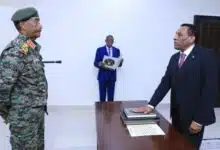 بدون عنوان