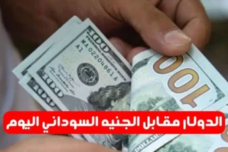 بدون عنوان